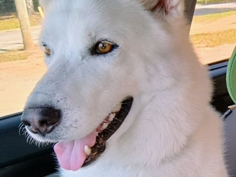 Max primary photo