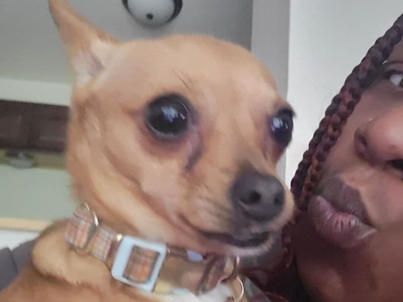 Bella primary photo