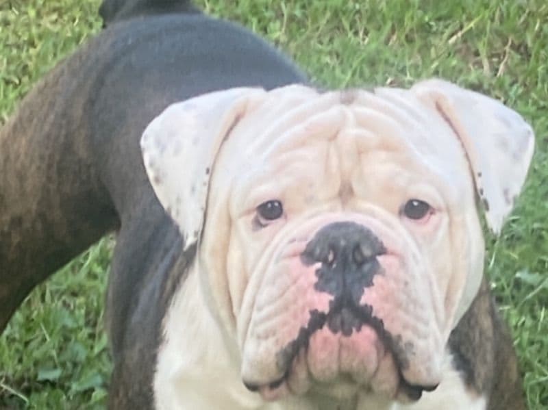 Coco primary photo