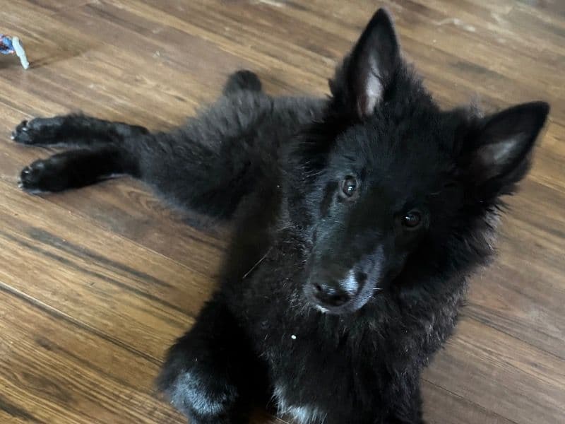 Baby primary photo
