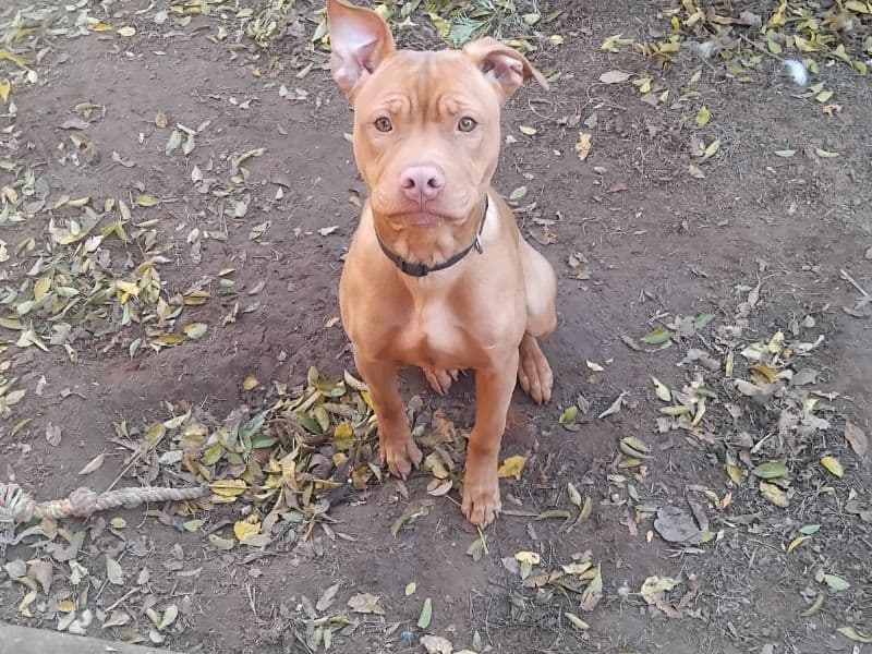 Jaxson primary photo