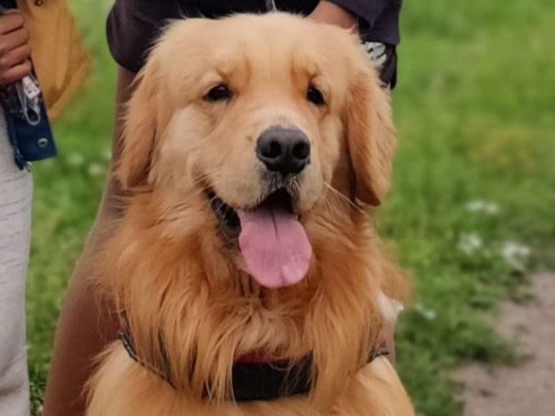 Max primary photo
