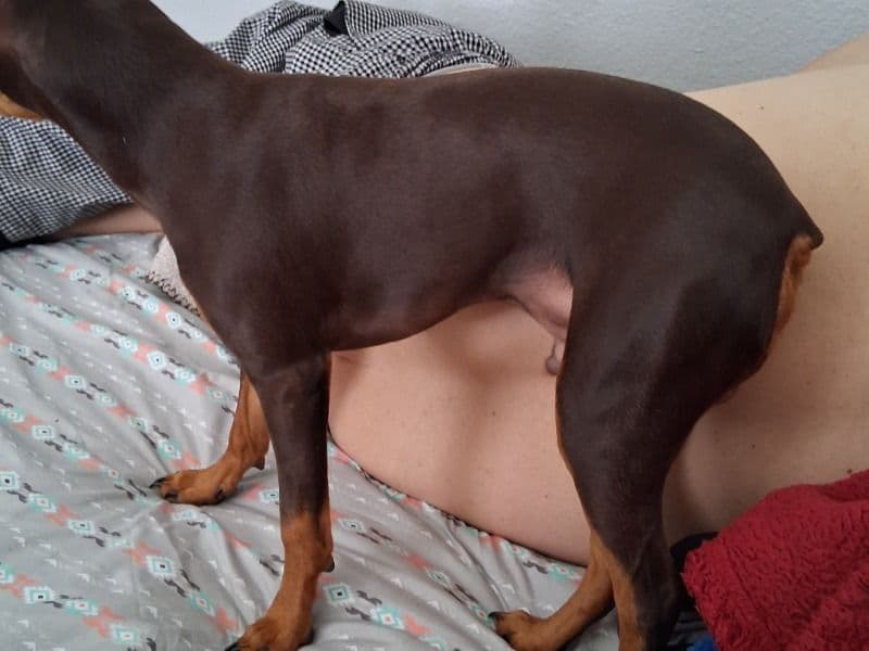 Honey primary photo