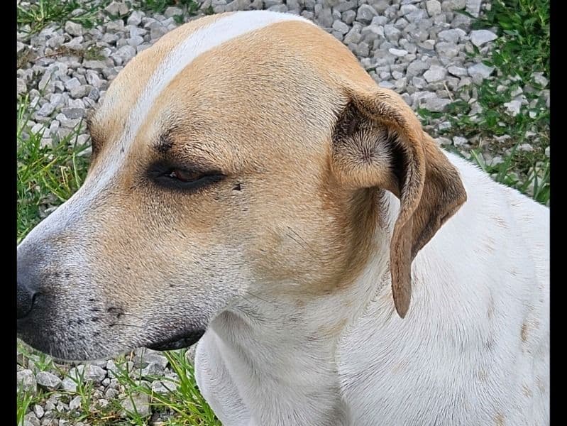 Max primary photo