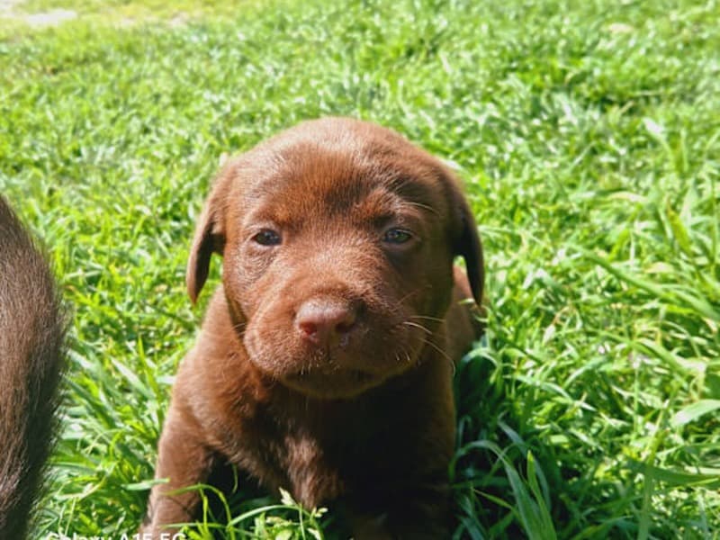 Doesn't Have A Name Yet primary photo
