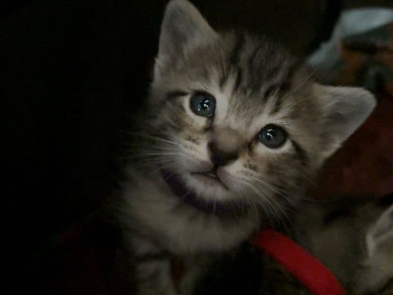 Doesn’t Have A Name Yet primary photo