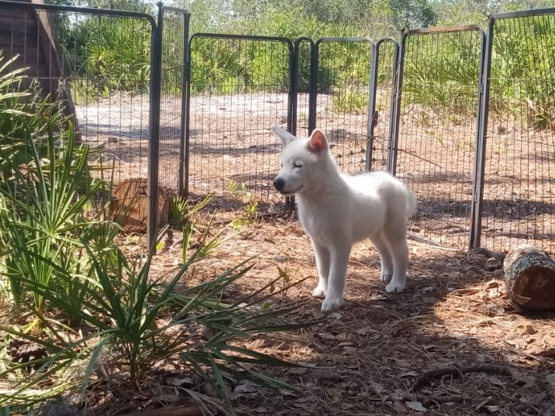 Blanca primary photo