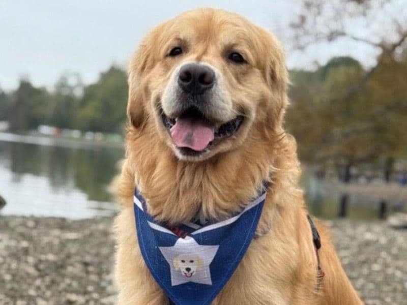 Finn primary photo