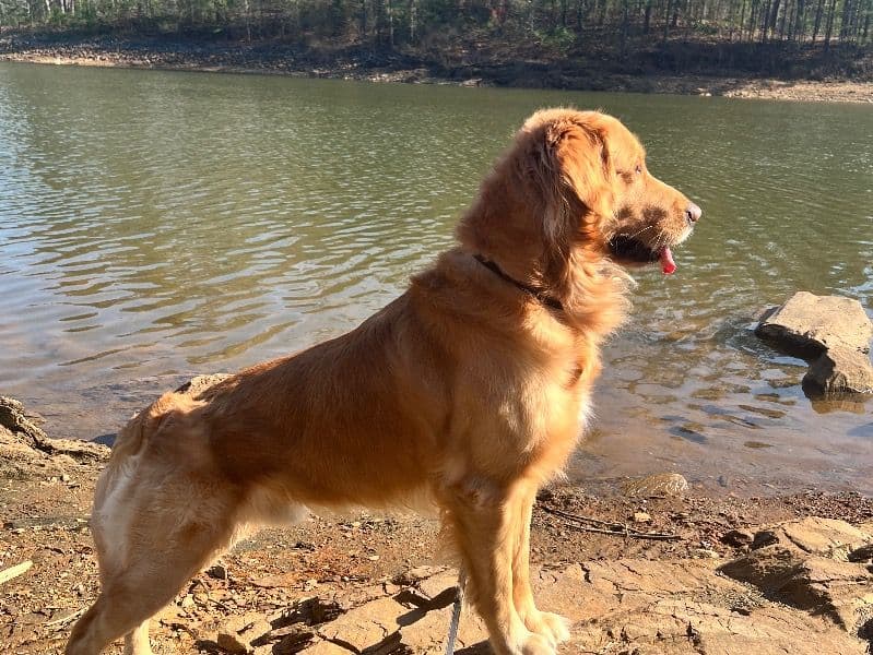Tucker primary photo