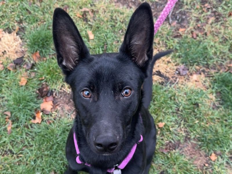 Winnie primary photo
