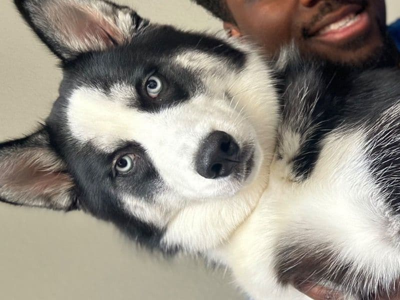 Iyce primary photo
