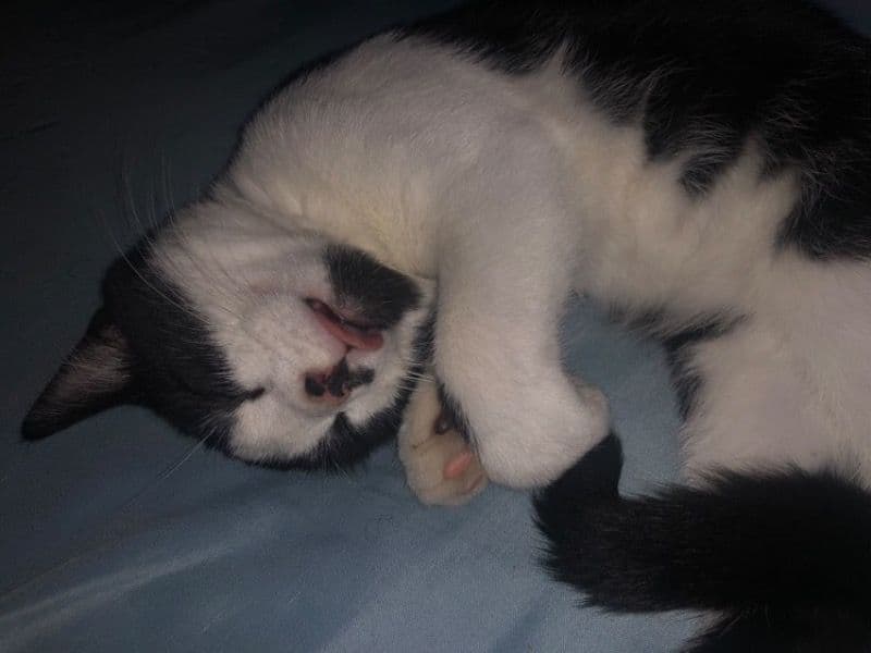 Tiny primary photo