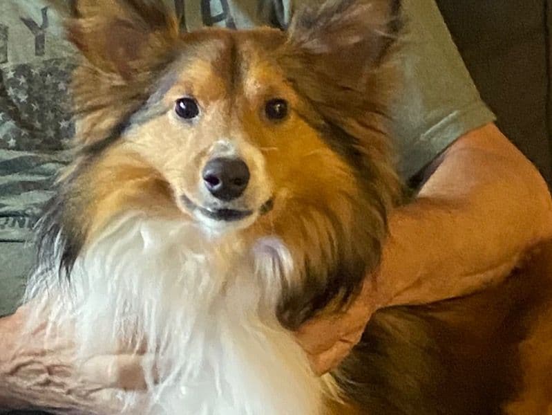 Rudy primary photo